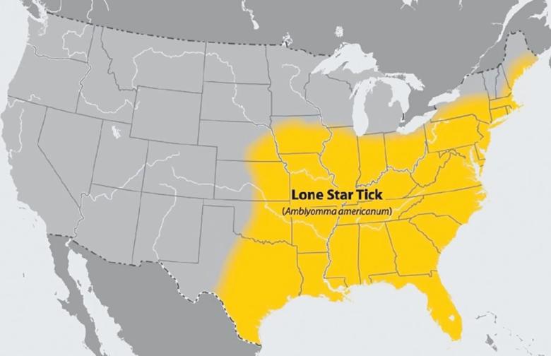 alpha-gal syndrome map showing lone star tick distribution