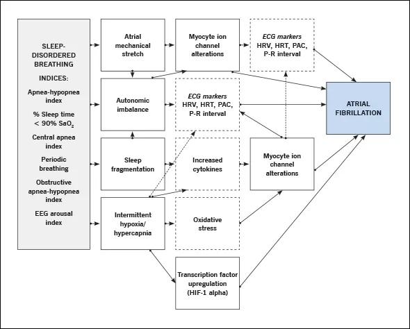Inset-Mehra-Fig2