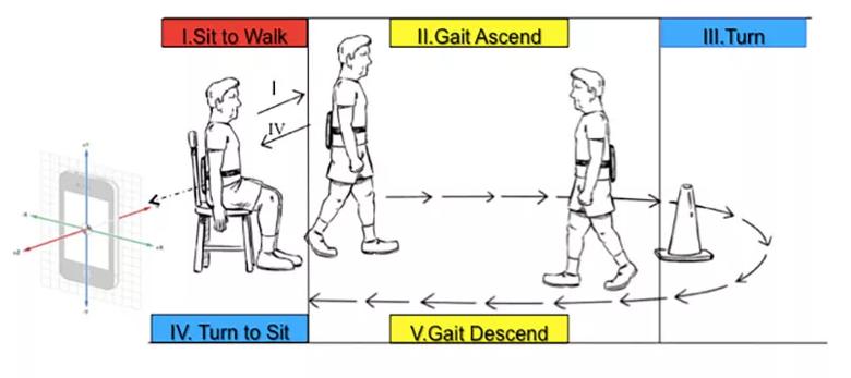 Illustration of Gait