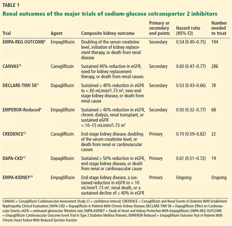 Renal outcomes of the trials of sodium-glucose cotransporter 2 inhibitors
