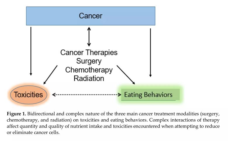 Chart shows bidirectional relationship among cancer treatment and eating 