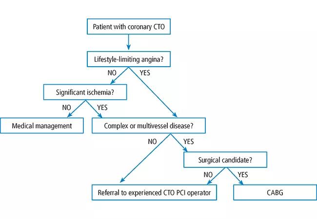 An algorithmic approach to determining the need for and method of coronary revascularization in patients with coronary CTO.