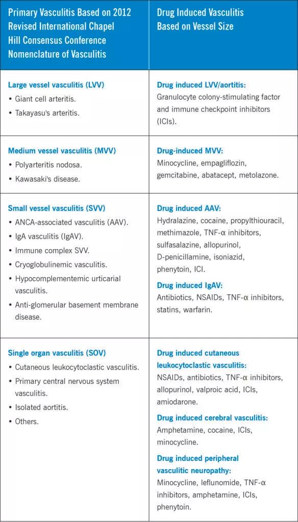 Chart of primary and drug-induced vasculitis