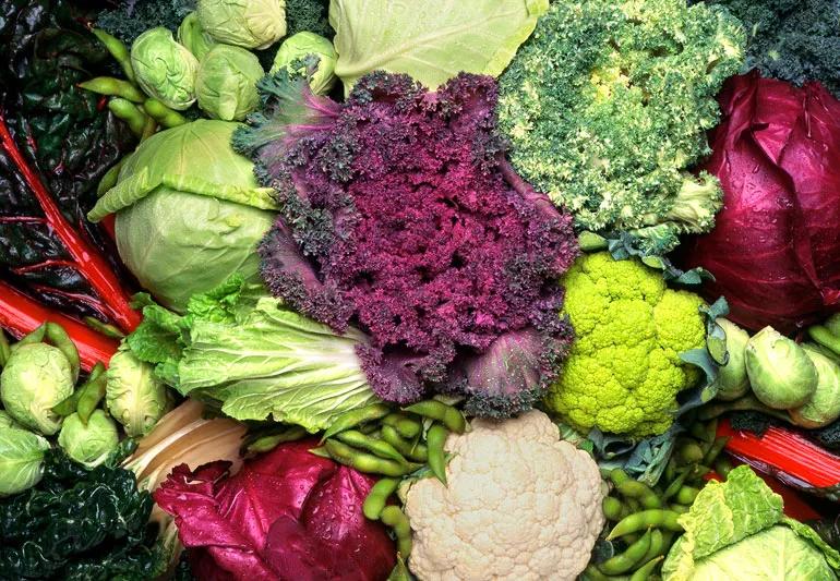 A grouping of cruciferous vegetables including cabbage, lettuce, cauliflower and broccolli.