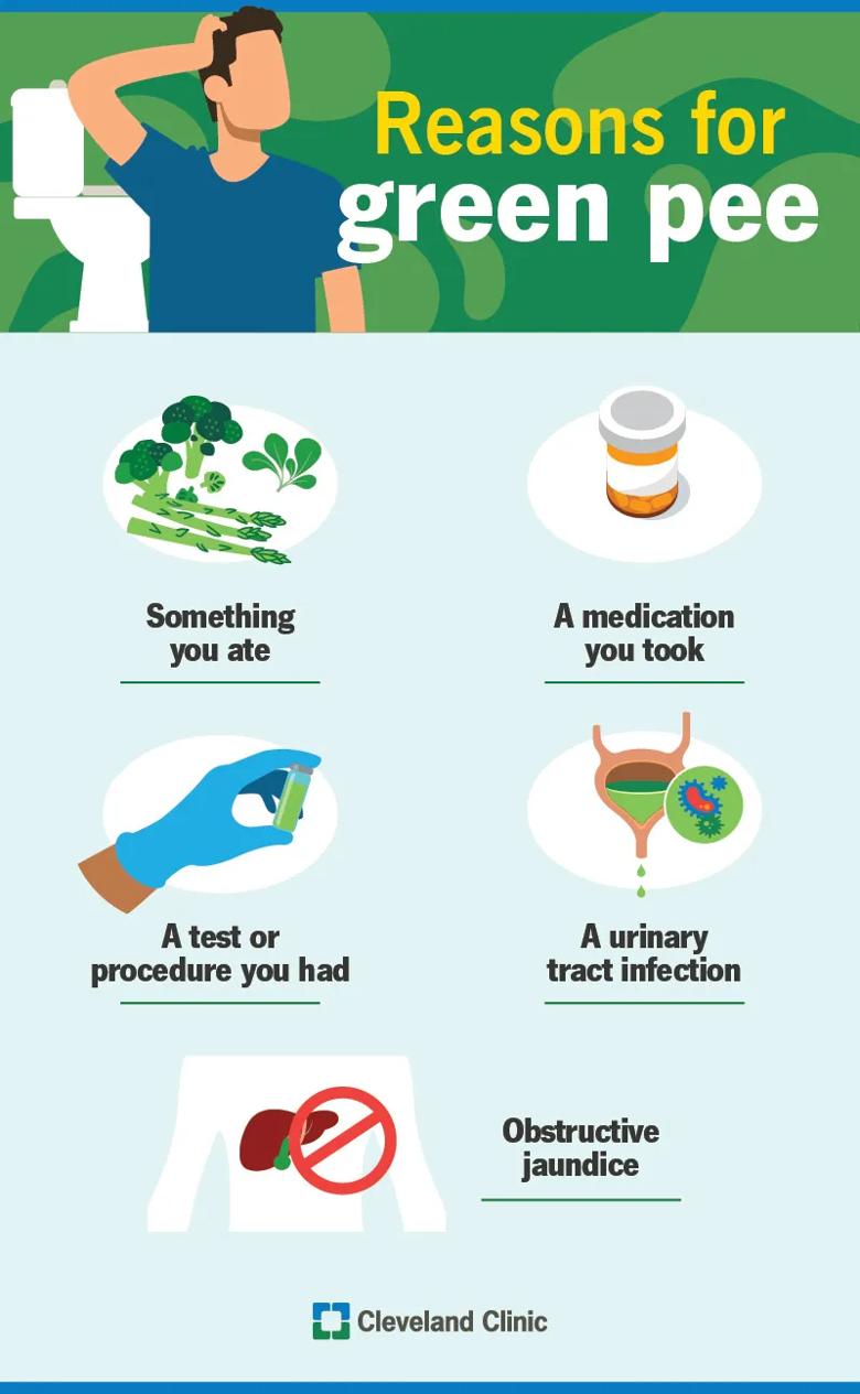 Reasons for green pee, including from something you ate or a medication you took