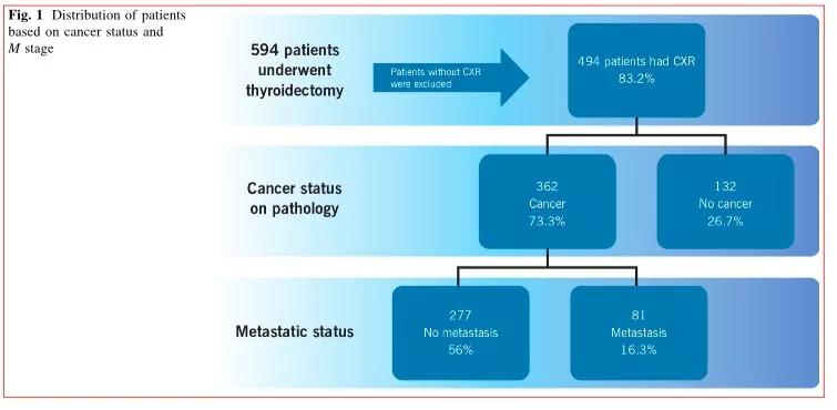 Distribution of patients based on cancer status and M stage.